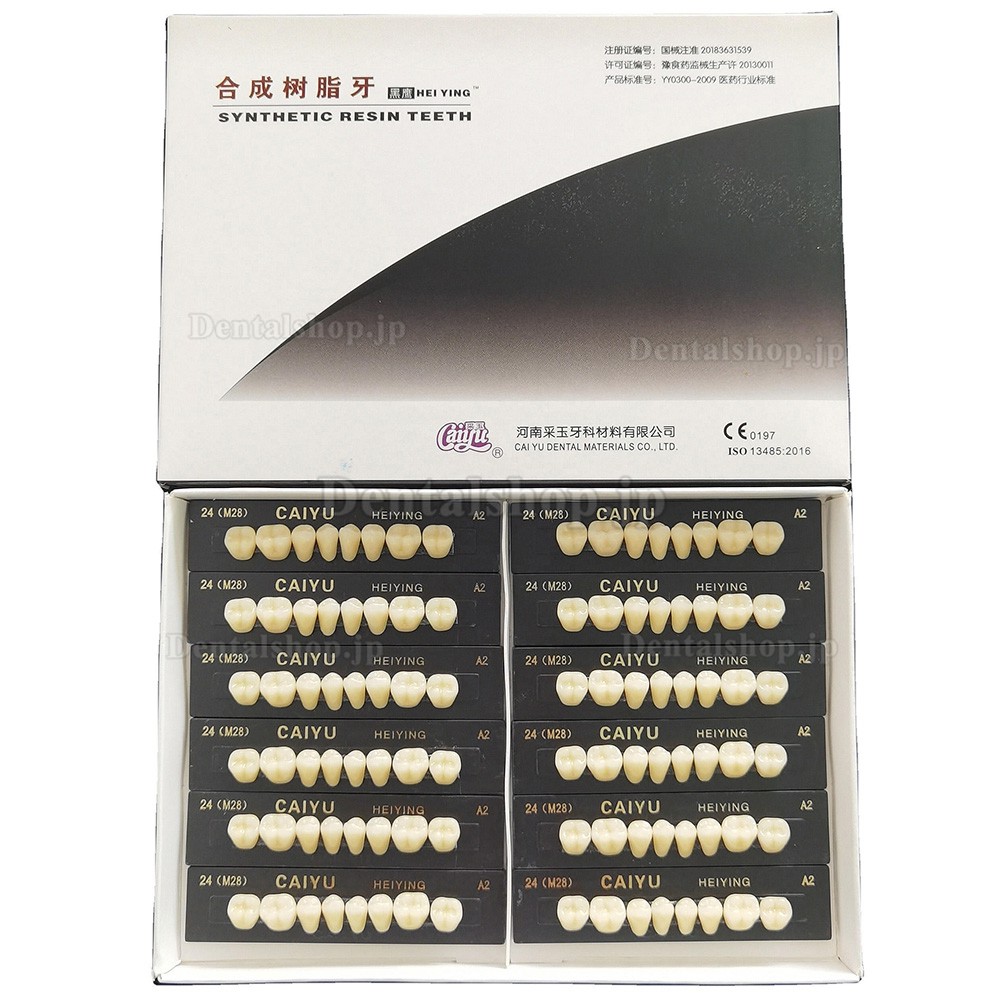 Caiyu Heiying アクリル系合成樹脂義歯（上顎・下顎奥歯）